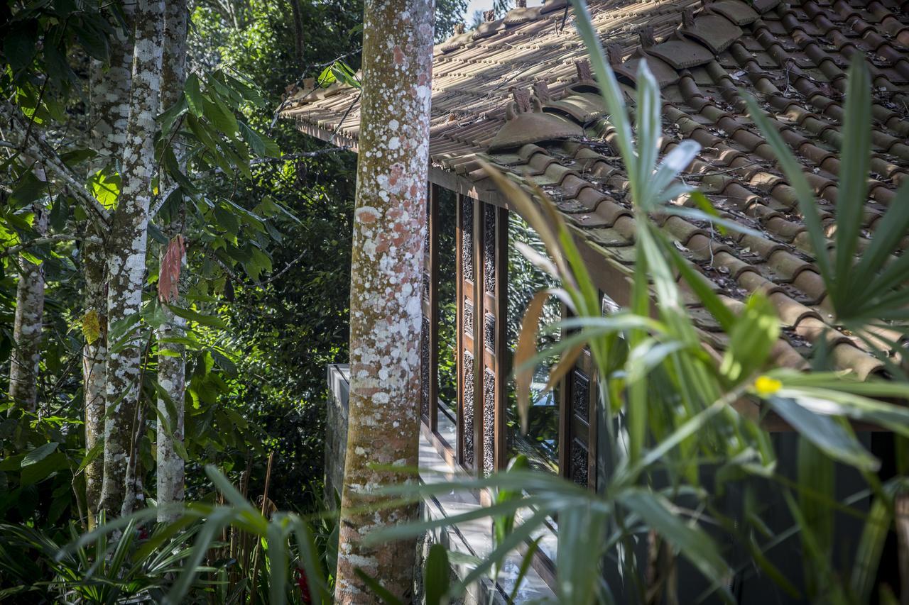 Alassari Plantation Selemadeg  Exterior foto