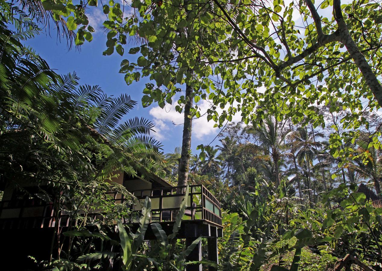 Alassari Plantation Selemadeg  Exterior foto