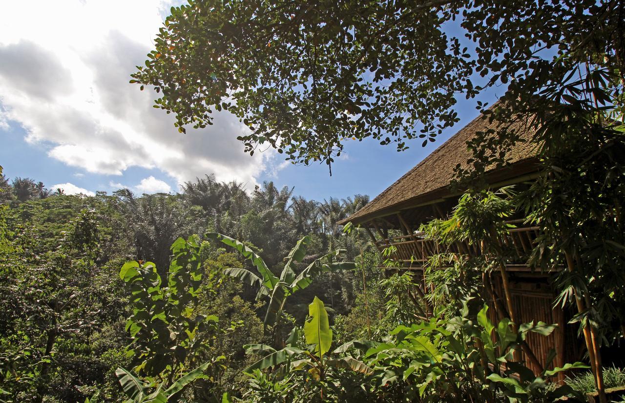 Alassari Plantation Selemadeg  Exterior foto