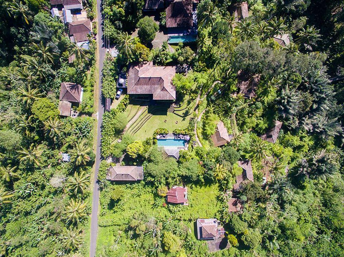 Alassari Plantation Selemadeg  Exterior foto